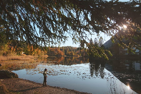 boy standing near swamp thumbnail