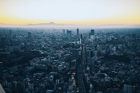 birds eye photography of city building thumbnail