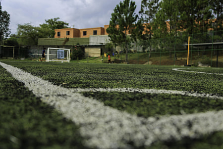 green grass field thumbnail
