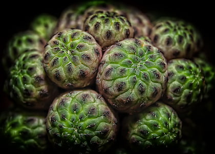green fruit macro photo thumbnail