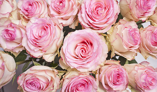 pink-and-peach flower arrangement thumbnail