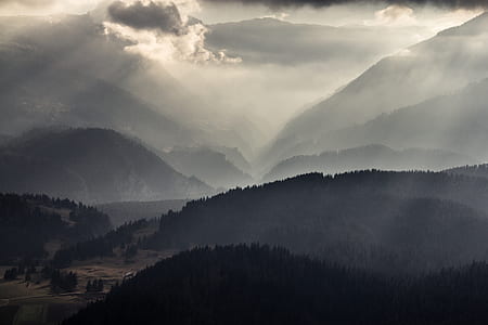 grayscale photo of mountain and forest thumbnail