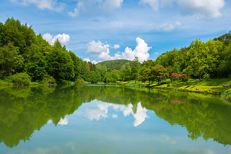 calmly body of water near green leafed trees under blue and cloudy sky thumbnail