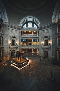 gray museum thumbnail