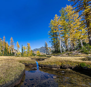 Stream and Brook landscape in Washington thumbnail