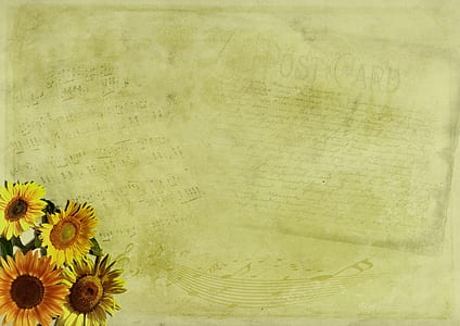 photo of yellow post card with sunflower thumbnail