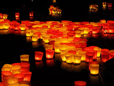 paper cups with candle floating during nighttime thumbnail