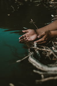 Person's Hands on Body of Water thumbnail