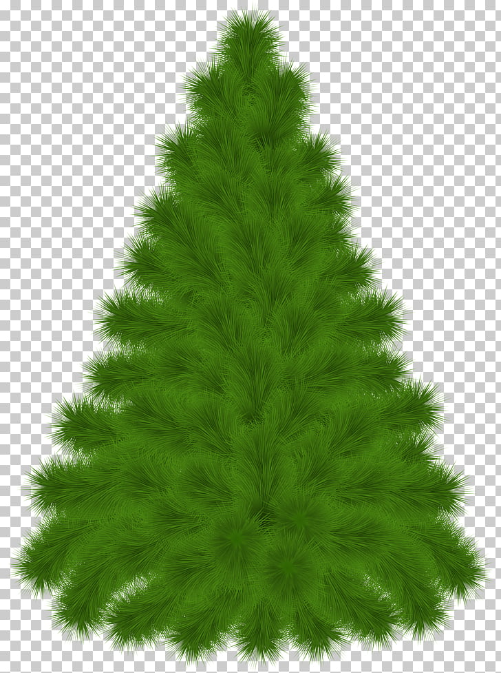 Pine Tree , Pine Tree , green Holiday tree PNG clipart