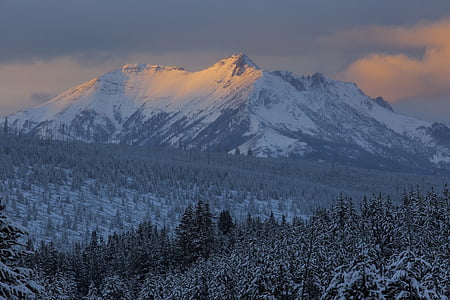 aerial photo of mountain and trees covered with snow thumbnail