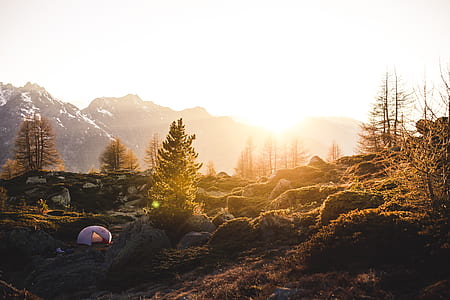 white dome tent near green leafed tree during daytime thumbnail
