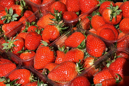 red strawberries in cases thumbnail