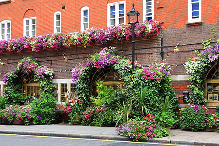 brown and orange buildings surrounded by flowers and plants thumbnail