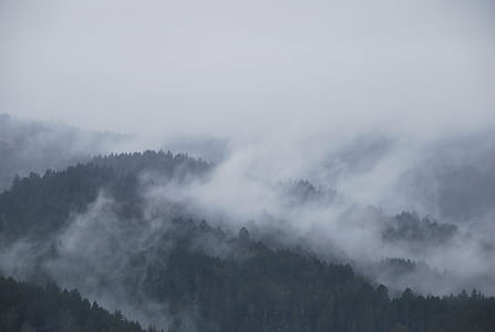 mountain covered by fog thumbnail