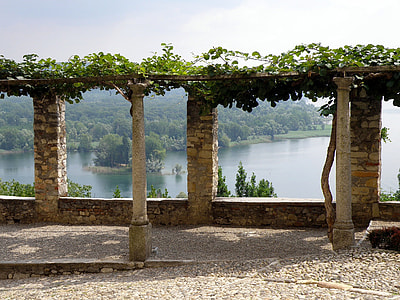green vines on top of beige concrete path thumbnail