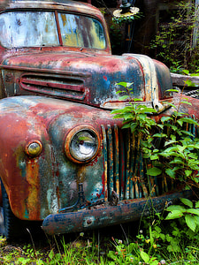 photo of rusted vehicle beside plants thumbnail