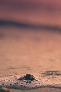 selective focus photo of stone surrounded of water during golden hour thumbnail
