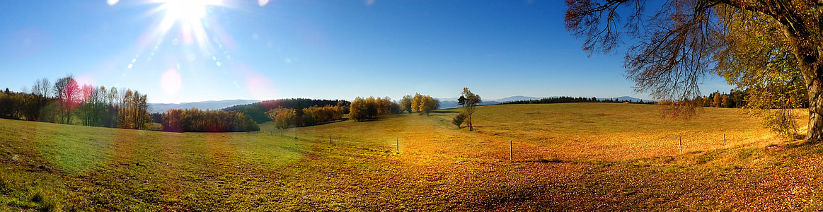 panorama grass field thumbnail