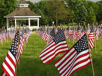 selective focus photography of inline America flags thumbnail