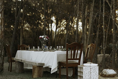 brown wooden table and chair set beside trees during daytime thumbnail