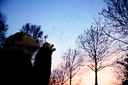 woman blowing bubbles near leafless trees thumbnail