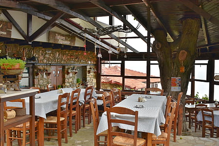 empty dining chairs and tables inside room thumbnail