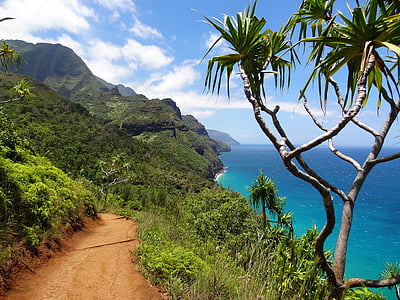 mountain beside ocean thumbnail