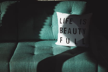 white and black printed throw pillow on top teal sofa thumbnail