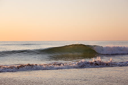 Green Body of Water Wave thumbnail