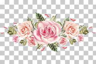 Flower Rose Pink Hash Florist, Colored roses, pink rose illustration PNG clipart