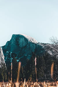mountain near bare tree thumbnail