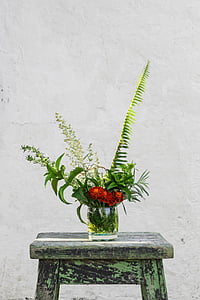 green fern plants thumbnail