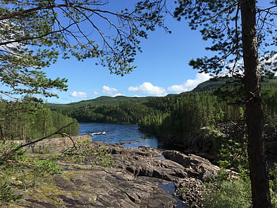 body of water beside plants thumbnail