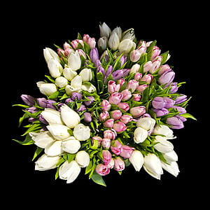 white, pink, and purple flowers on black surface thumbnail