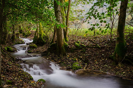 time lapse photography of river on forest thumbnail