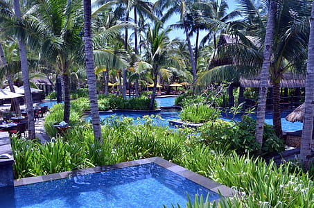 inland resort with trees thumbnail