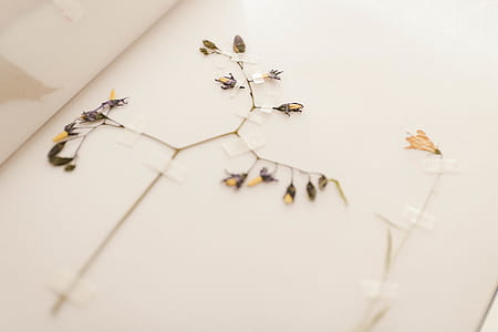 Brown and Black Flower Art on Wall thumbnail
