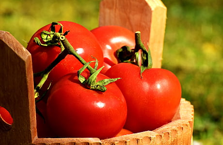 red tomatoes on brown surface thumbnail