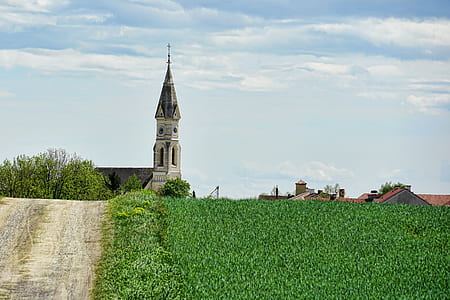 pathway with green grass under cloudy skies thumbnail