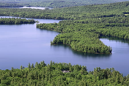 landscape, nature, water, forest thumbnail