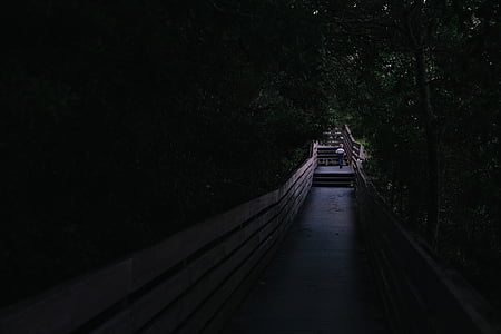 concrete pathway between plants thumbnail