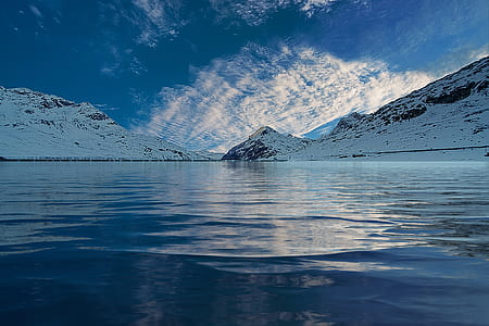 cold, glacier, snow, sea thumbnail