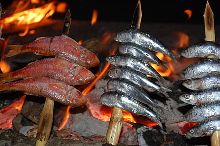 fish grilling thumbnail