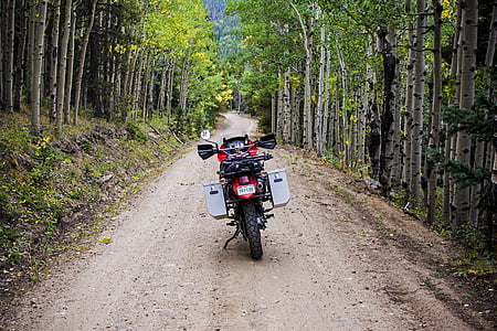 black and red motorcycle in the middle of trees thumbnail