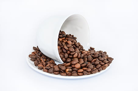 coffee beans on white ceramic plate thumbnail