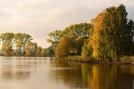 trees reflecting at body of water thumbnail