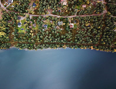 aerial photography of trees, lands, and houses thumbnail