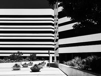 grayscale photography of building thumbnail