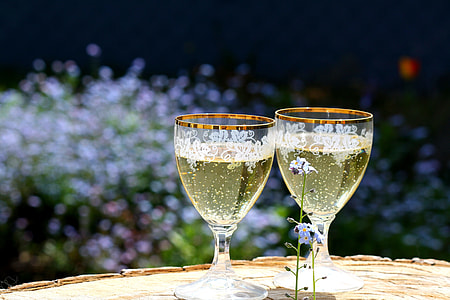 two clear drinking glasses near the purple petaled flower thumbnail