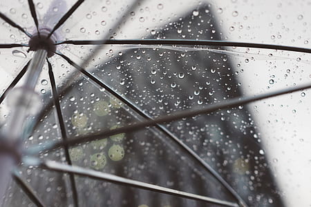 closeup photo of clear umbrella thumbnail
